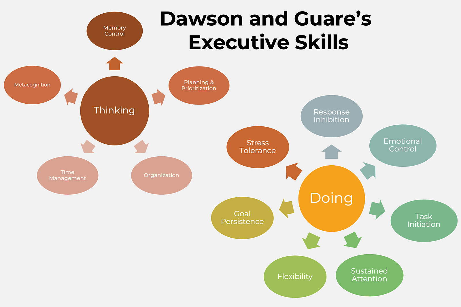 An infographic of Dawson and Guare’s Executive Skills, which are also listed in the text below.